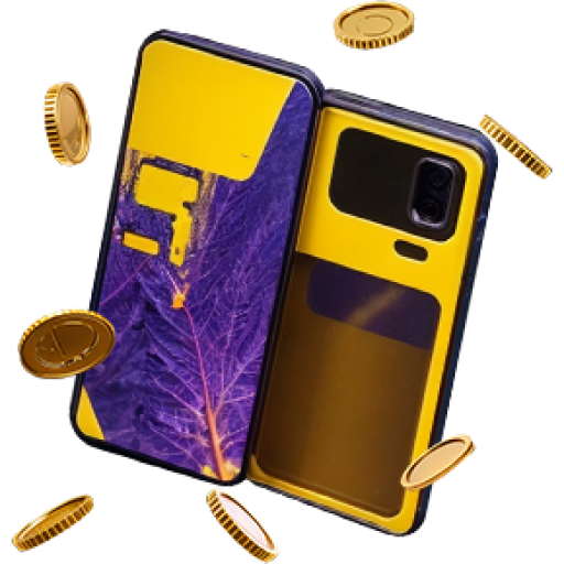 Phone Coin